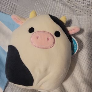 Connor 8in squishmallow